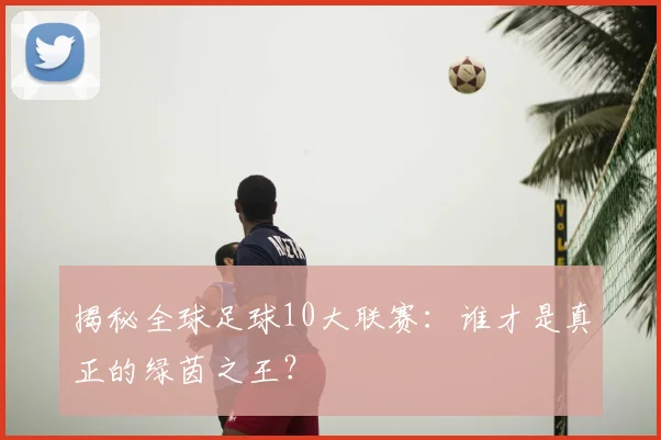 揭秘全球足球10大联赛：谁才是真正的绿茵之王？