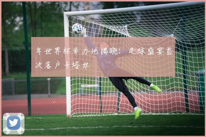 年世界杯举办地揭晓：足球盛宴首次落户卡塔尔